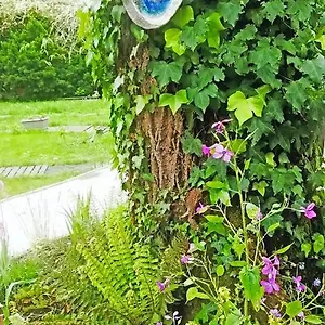 Mirguet Au Jardin Saint-Elix-le-Chateau